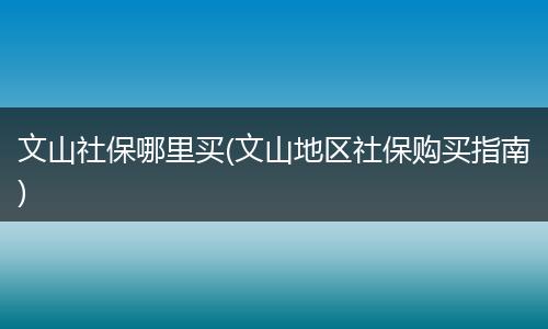文山社保哪里买(文山地区社保购买指南)
