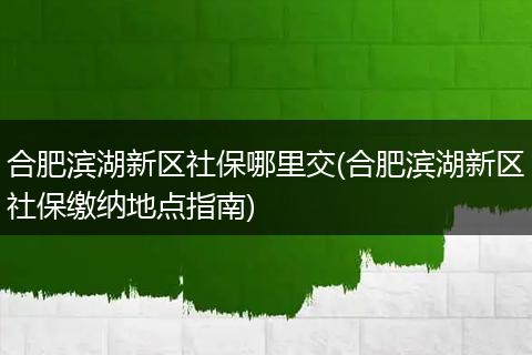 合肥滨湖新区社保哪里交(合肥滨湖新区社保缴纳地点指南)