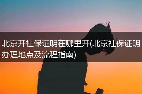 北京开社保证明在哪里开(北京社保证明办理地点及流程指南)