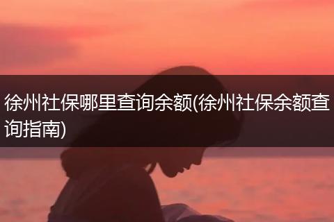 徐州社保哪里查询余额(徐州社保余额查询指南)