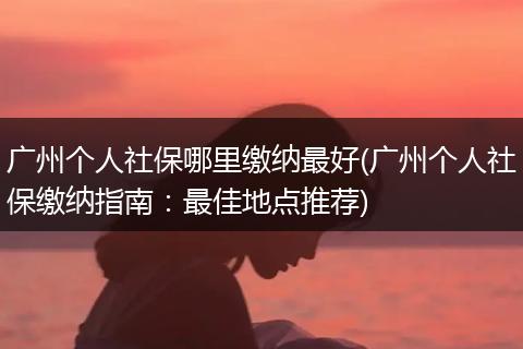 广州个人社保哪里缴纳最好(广州个人社保缴纳指南：最佳地点推荐)