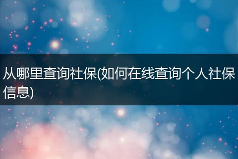 从哪里查询社保(如何在线查询个人社保信息)