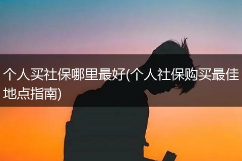 个人买社保哪里最好(个人社保购买最佳地点指南)