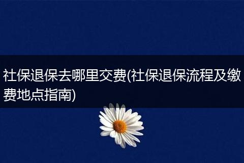 社保退保去哪里交费(社保退保流程及缴费地点指南)