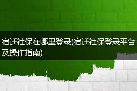 宿迁社保在哪里登录(宿迁社保登录平台及操作指南)