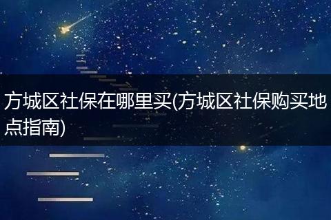 方城区社保在哪里买(方城区社保购买地点指南)