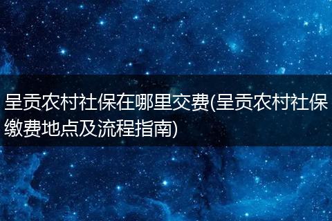 呈贡农村社保在哪里交费(呈贡农村社保缴费地点及流程指南)