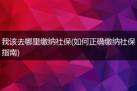 我该去哪里缴纳社保(如何正确缴纳社保指南)