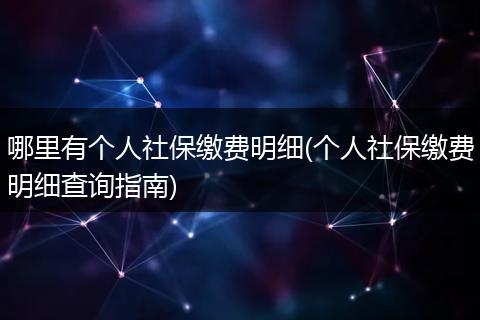 哪里有个人社保缴费明细(个人社保缴费明细查询指南)
