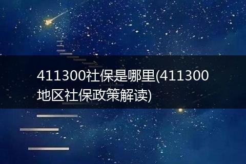 411300社保是哪里(411300地区社保政策解读)