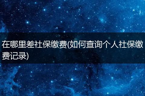 在哪里差社保缴费(如何查询个人社保缴费记录)
