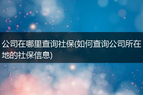 公司在哪里查询社保(如何查询公司所在地的社保信息)