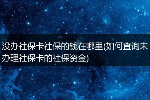 没办社保卡社保的钱在哪里(如何查询未办理社保卡的社保资金)