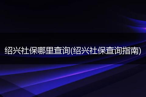 绍兴社保哪里查询(绍兴社保查询指南)