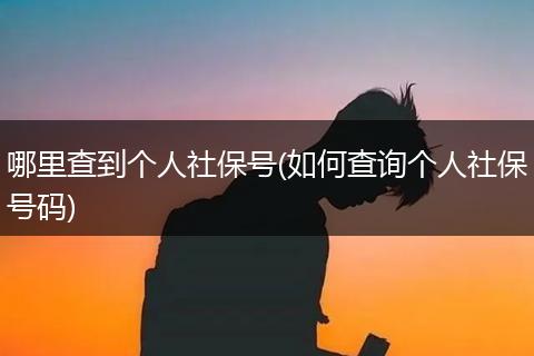 哪里查到个人社保号(如何查询个人社保号码)