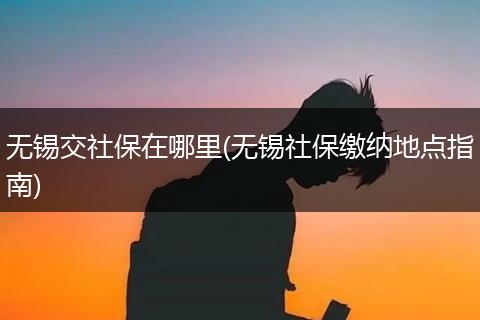 无锡交社保在哪里(无锡社保缴纳地点指南)