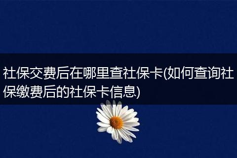 社保交费后在哪里查社保卡(如何查询社保缴费后的社保卡信息)