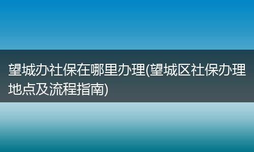 望城办社保在哪里办理(望城区社保办理地点及流程指南)