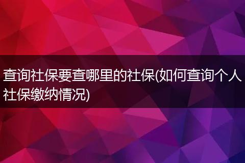 查询社保要查哪里的社保(如何查询个人社保缴纳情况)