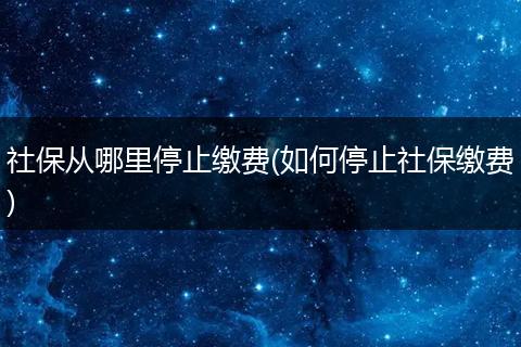 社保从哪里停止缴费(如何停止社保缴费)