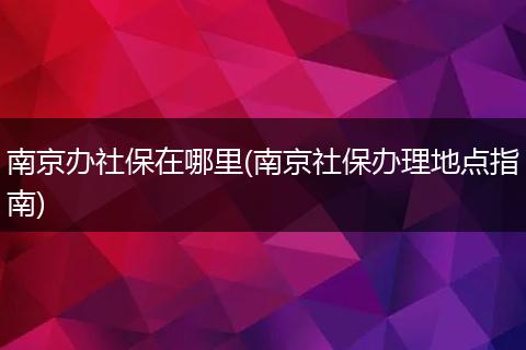 南京办社保在哪里(南京社保办理地点指南)