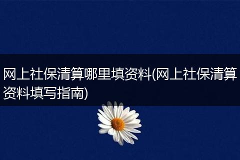 网上社保清算哪里填资料(网上社保清算资料填写指南)