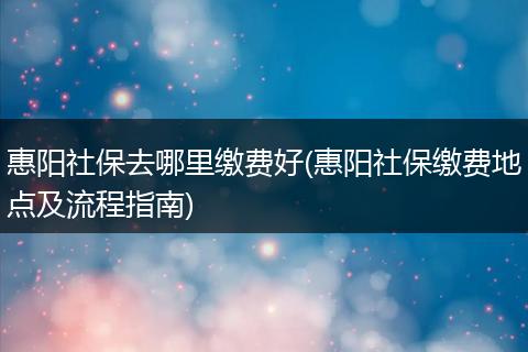 惠阳社保去哪里缴费好(惠阳社保缴费地点及流程指南)