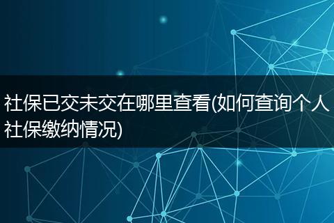 社保已交未交在哪里查看(如何查询个人社保缴纳情况)
