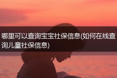 哪里可以查询宝宝社保信息(如何在线查询儿童社保信息)