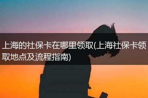上海的社保卡在哪里领取(上海社保卡领取地点及流程指南)