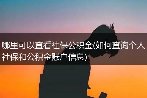 哪里可以查看社保公积金(如何查询个人社保和公积金账户信息)