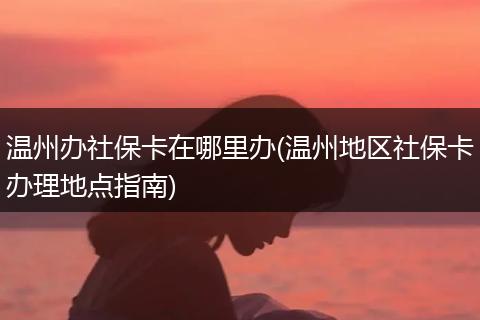 温州办社保卡在哪里办(温州地区社保卡办理地点指南)