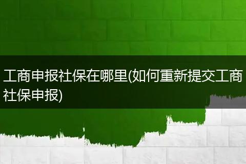 工商申报社保在哪里(如何重新提交工商社保申报)