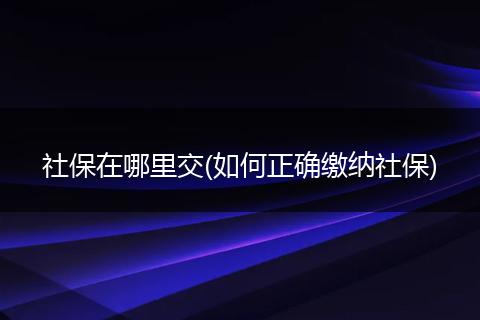 社保在哪里交(如何正确缴纳社保)