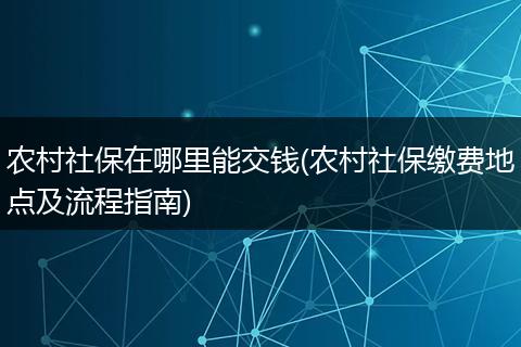 农村社保在哪里能交钱(农村社保缴费地点及流程指南)