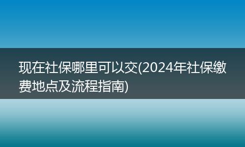 现在社保哪里可以交(2024年社保缴费地点及流程指南)