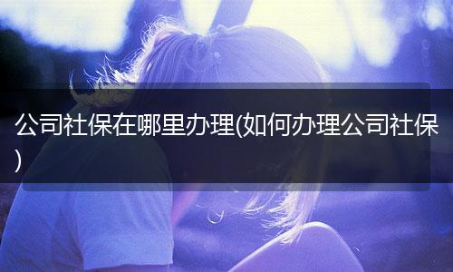 公司社保在哪里办理(如何办理公司社保)