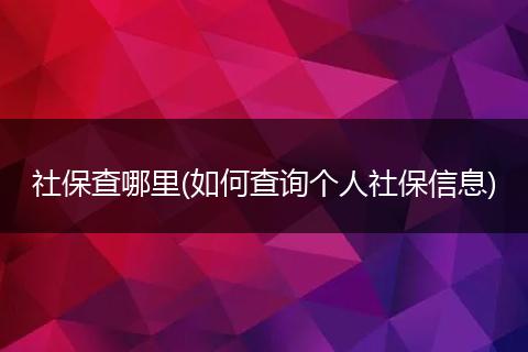 社保查哪里(如何查询个人社保信息)
