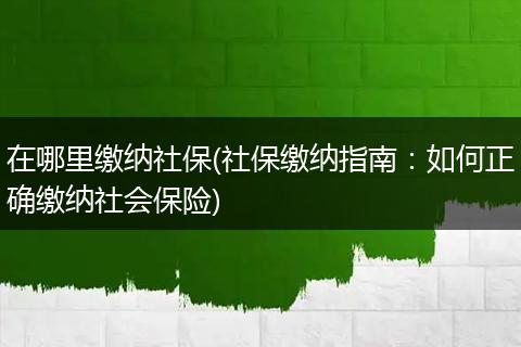在哪里缴纳社保(社保缴纳指南：如何正确缴纳社会保险)