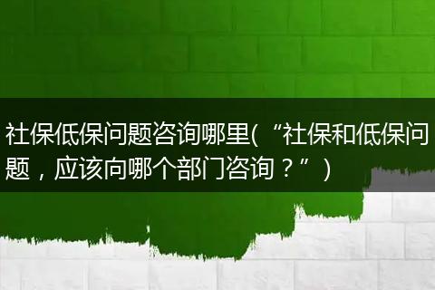社保低保问题咨询哪里(“社保和低保问题，应该向哪个部门咨询？”)
