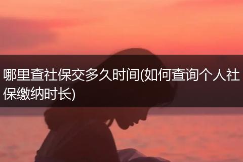 哪里查社保交多久时间(如何查询个人社保缴纳时长)