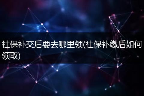 社保补交后要去哪里领(社保补缴后如何领取)