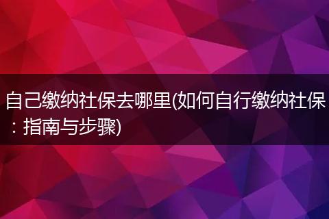 自己缴纳社保去哪里(如何自行缴纳社保：指南与步骤)