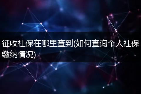 征收社保在哪里查到(如何查询个人社保缴纳情况)