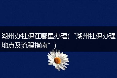 湖州办社保在哪里办理(“湖州社保办理地点及流程指南”)
