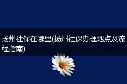 扬州社保在哪里(扬州社保办理地点及流程指南)