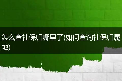 怎么查社保归哪里了(如何查询社保归属地)