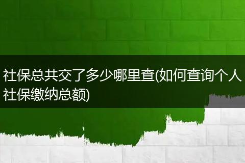 社保总共交了多少哪里查(如何查询个人社保缴纳总额)