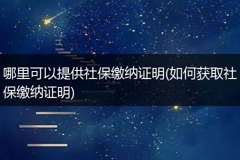 哪里可以提供社保缴纳证明(如何获取社保缴纳证明)