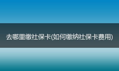 去哪里缴社保卡(如何缴纳社保卡费用)